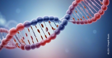 2025-12-08 anonsas mažas ALLEA-bb445f05a478998ded9389ea5d59ef74.jpg